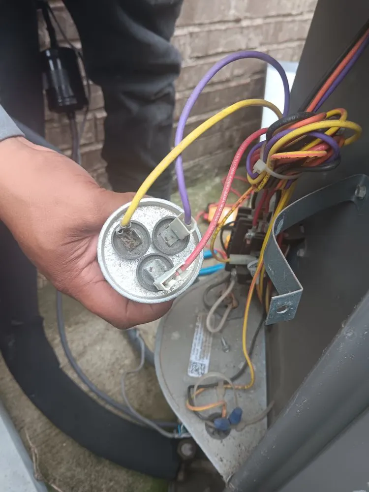 Slide of Ridley's Service