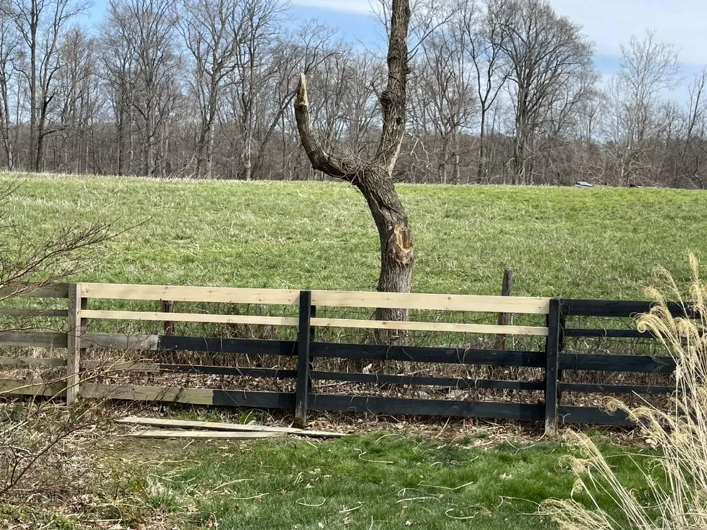 Reliable electrical repair service in ,  - Right Angle Renovation