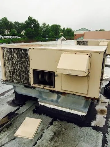 Certified electrician providing wiring installation in , 