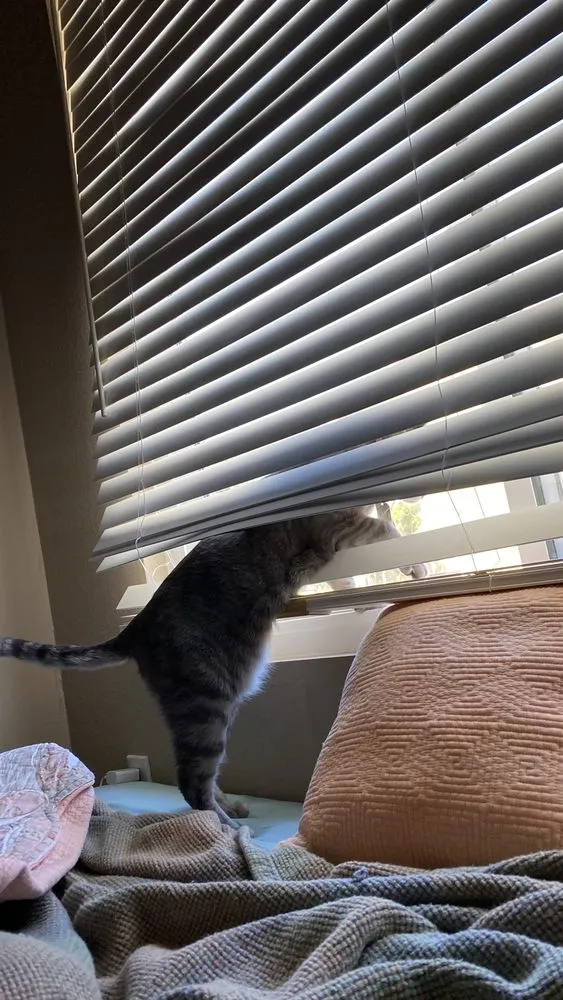 Slide of Right Way Lighting -Recessed Light Installation