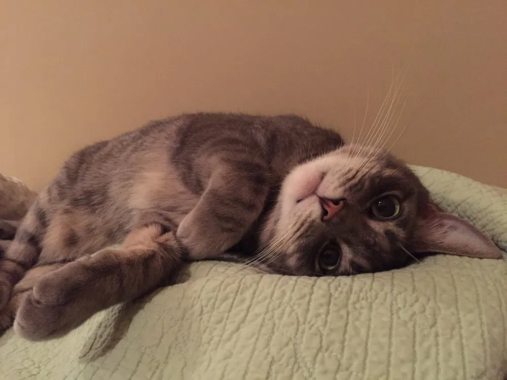 Expert circuit breaker repair service in ,  - Right Way Lighting -Recessed Light Installation