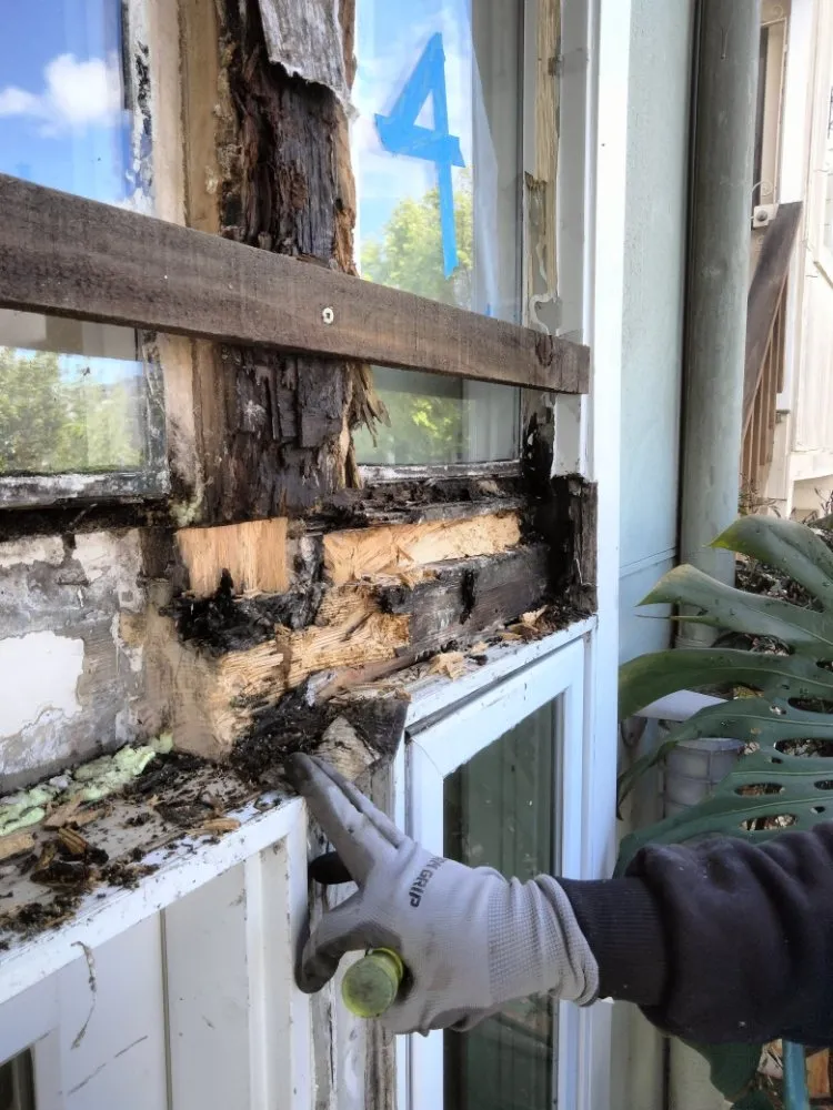 Slide of Rigo's Handyman