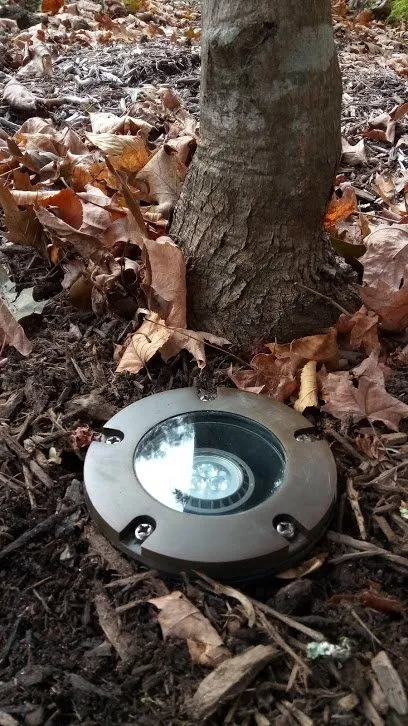 Slide of Rinaldi Electric