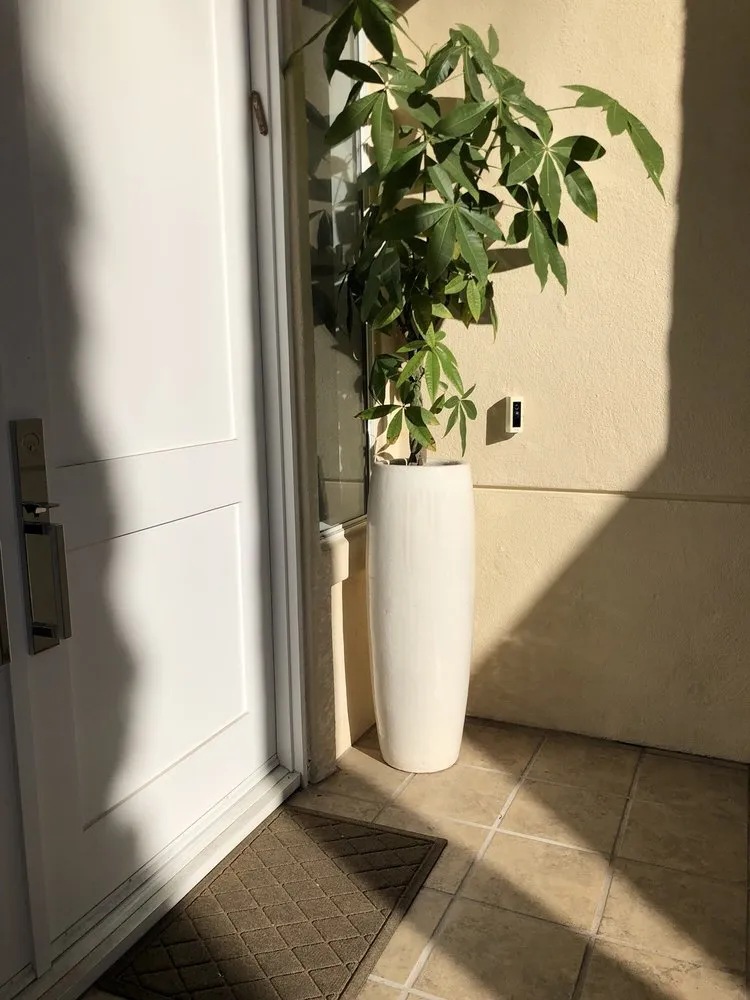 Slide of Ring Doorbell Installation Guy