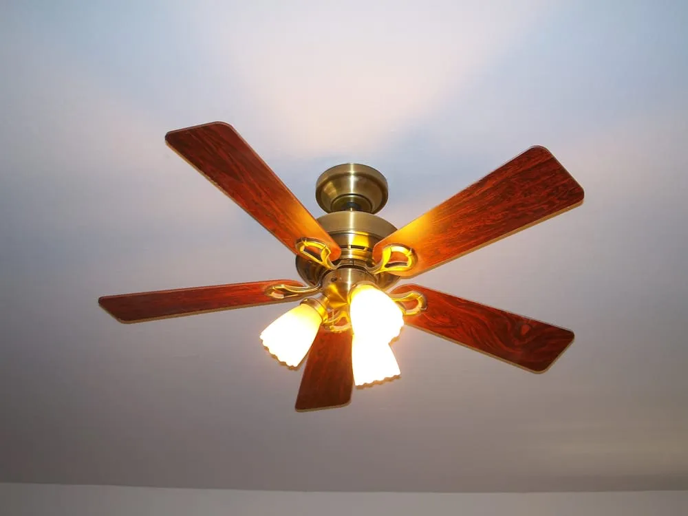 Slide of Rio Electric