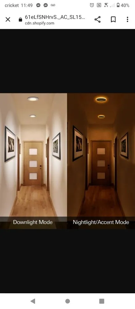 Slide of Rio Renovations