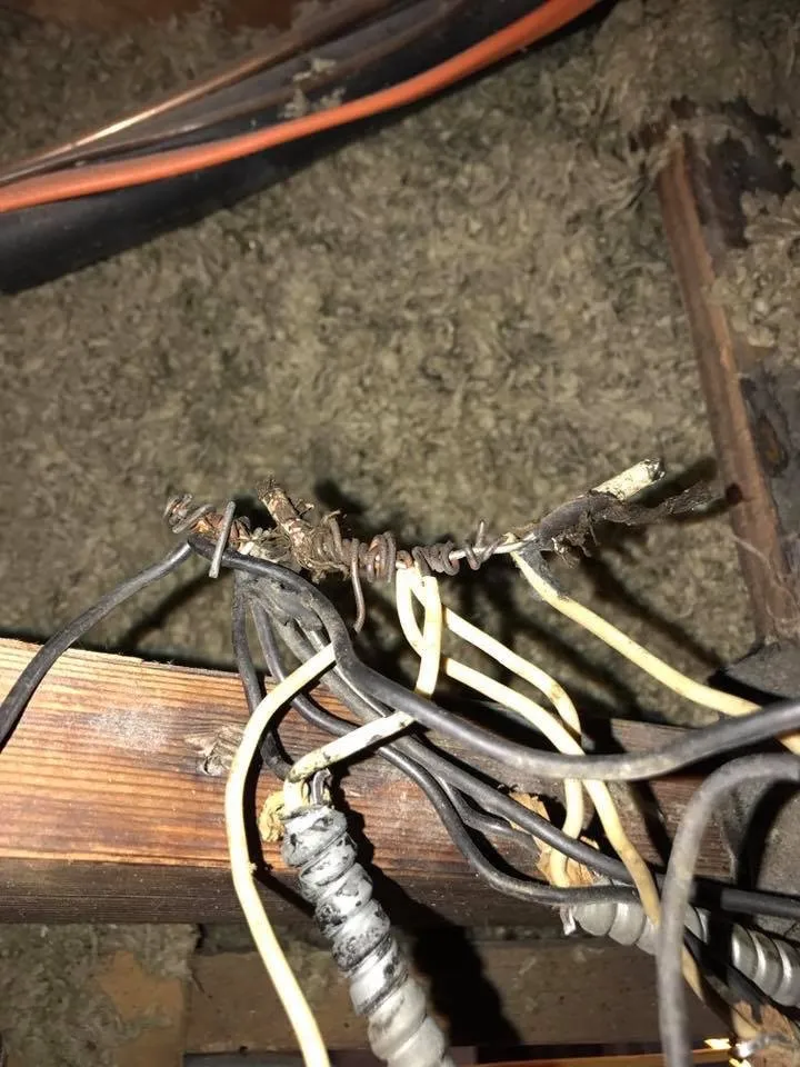 Certified lighting installation experts serving ,  - Ritzman Electric