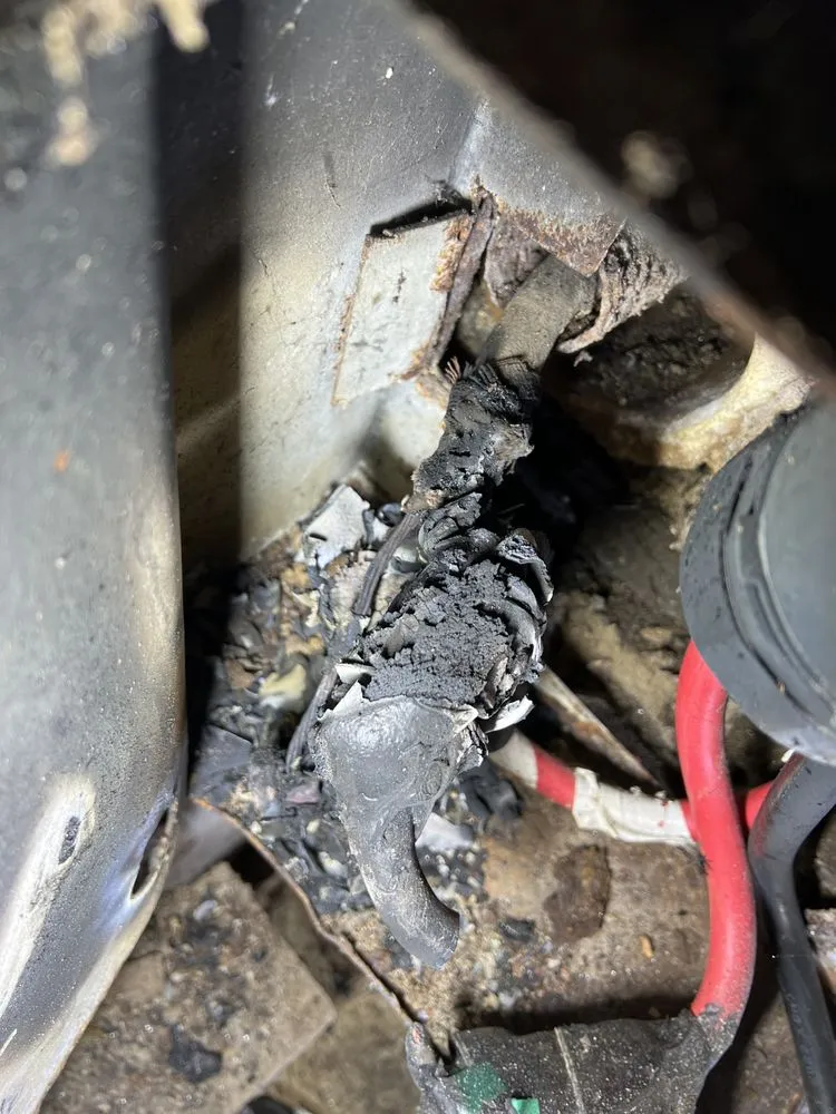 Slide of Rivera and Best Quality Electric