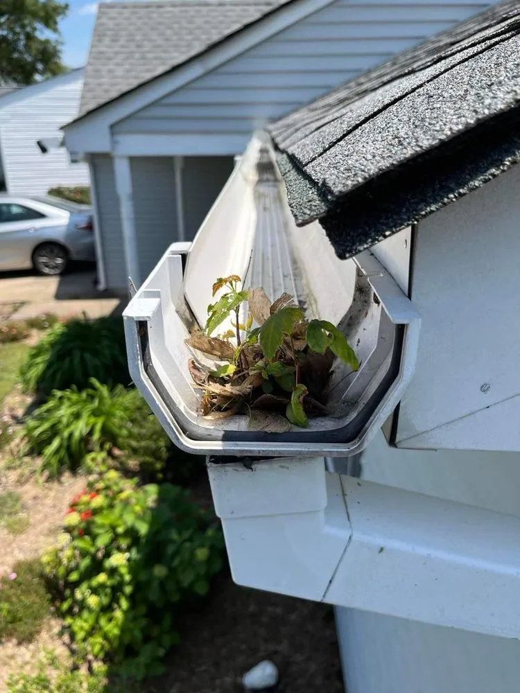 Slide of Rivera's Home Improvement