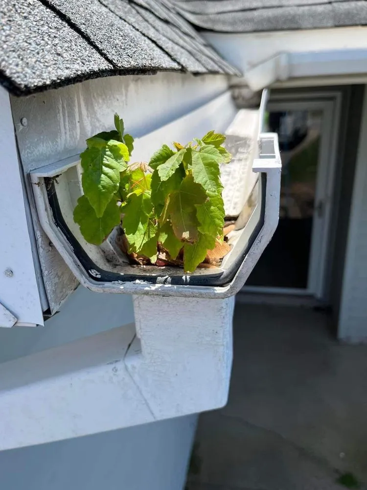 Reliable panel upgrade experts serving ,  - Rivera's Home Improvement