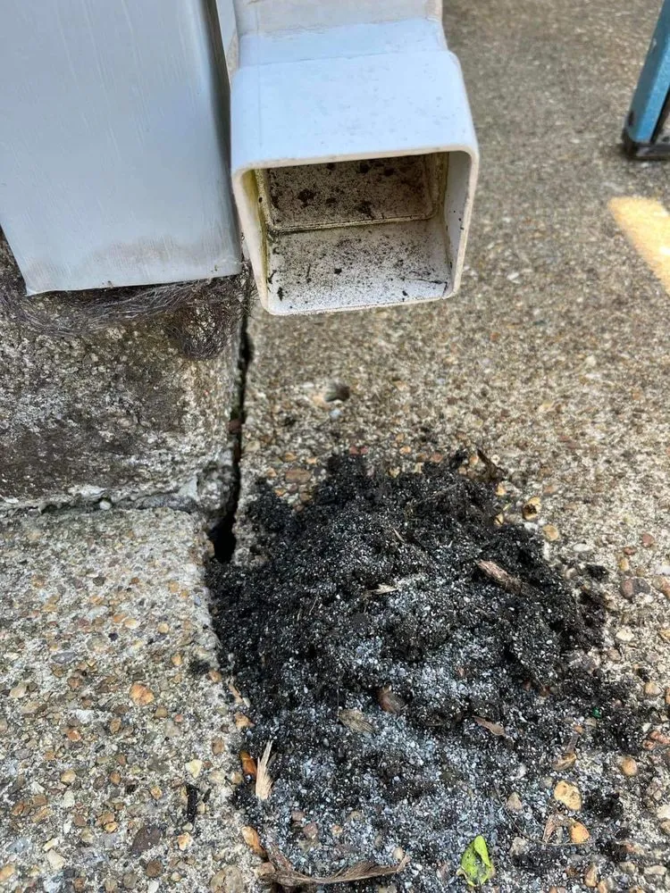 Slide of Rivera's Home Improvement