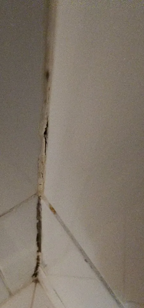 Slide of Rj's Handyman & Repair