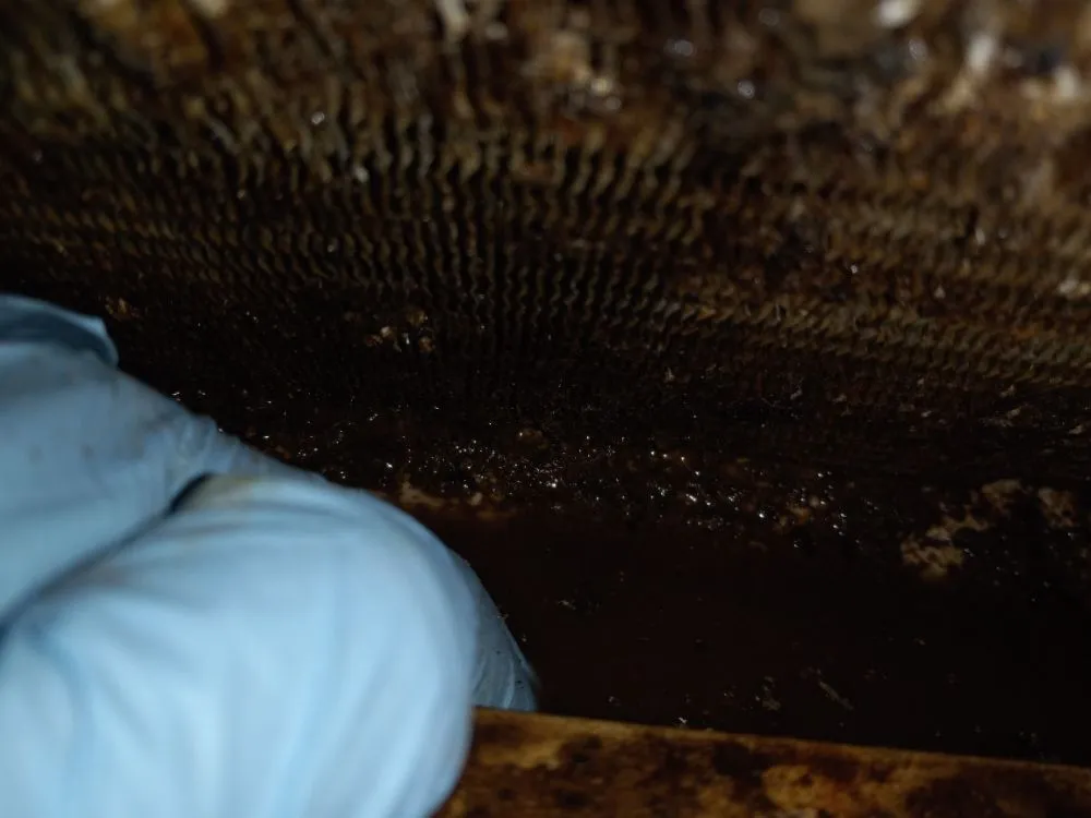 Slide of R.L General Maintenance & Repairs