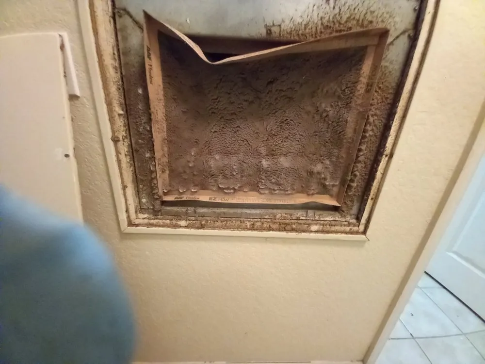 Trusted electrical service for homes in lighting installation,  by 