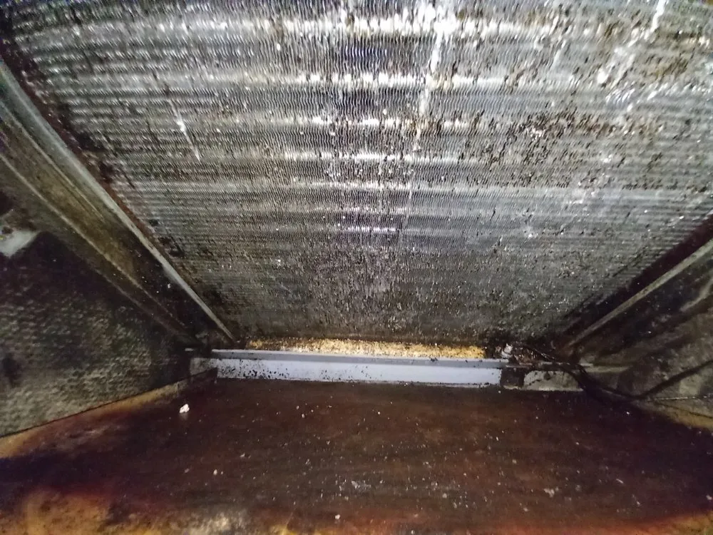 Reliable electrical service for homes in panel upgrade,  by 