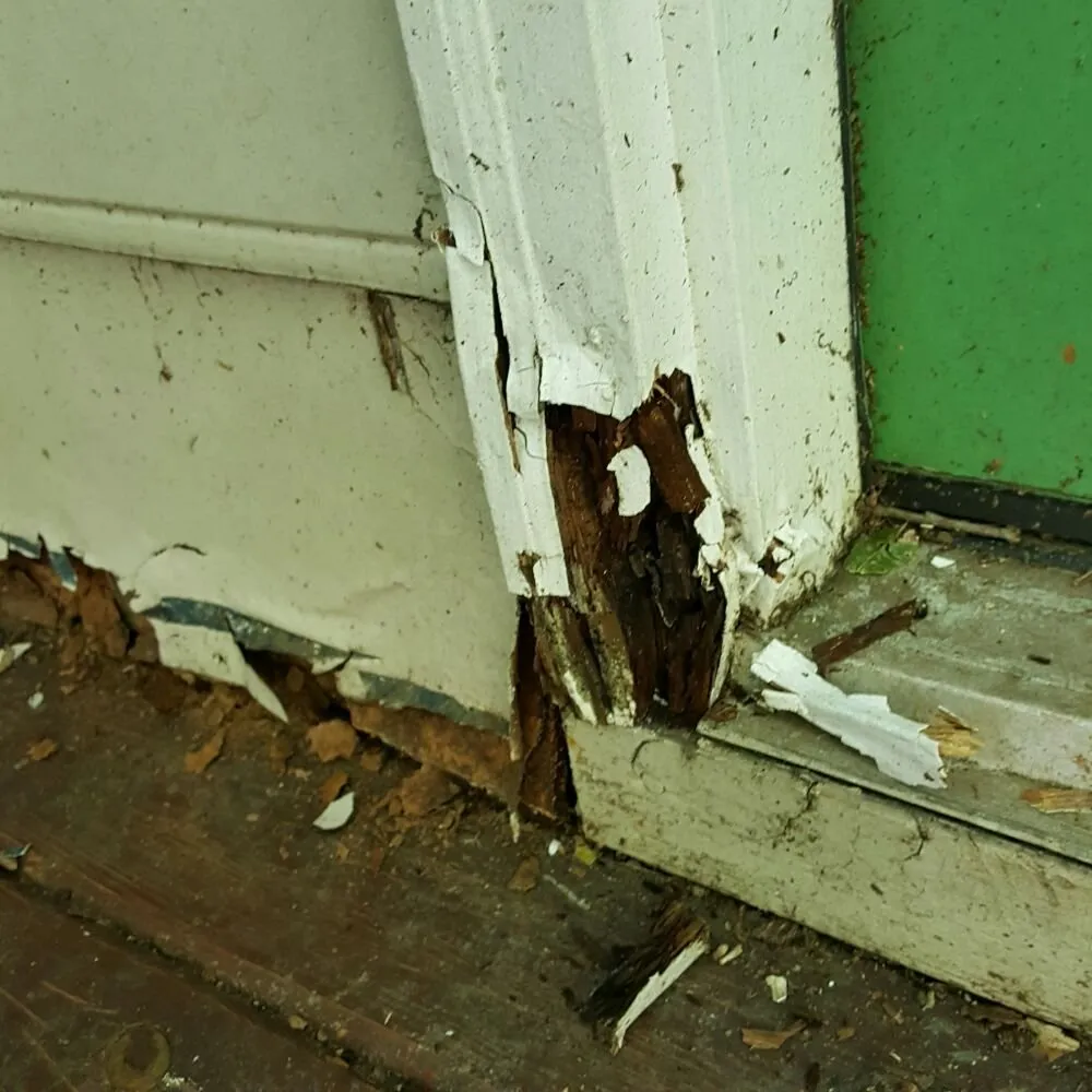 Expert wiring installation in Moseley, VA by RL Handyman Solutions