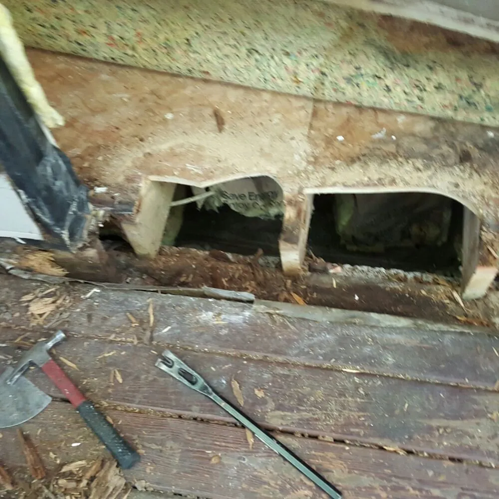 Expert outlet and switch repair experts serving Moseley, VA - RL Handyman Solutions