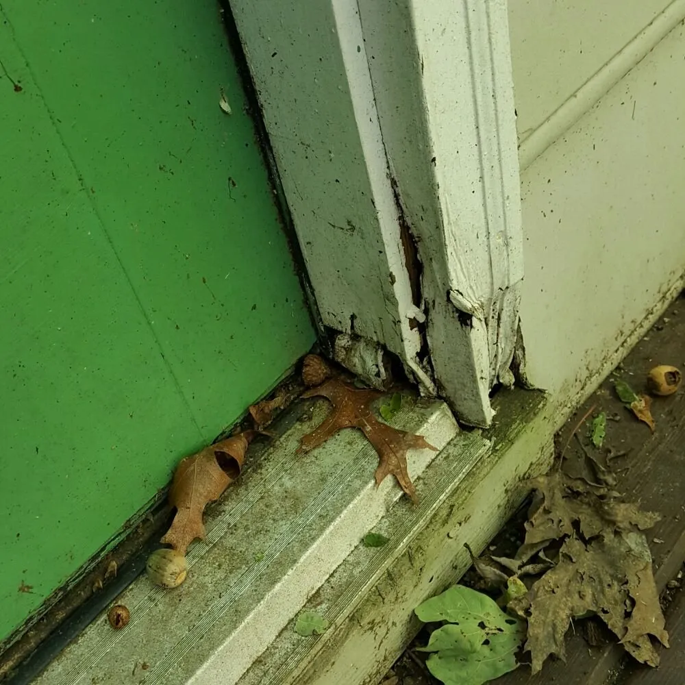 Trusted outlet and switch repair in Moseley, VA by RL Handyman Solutions