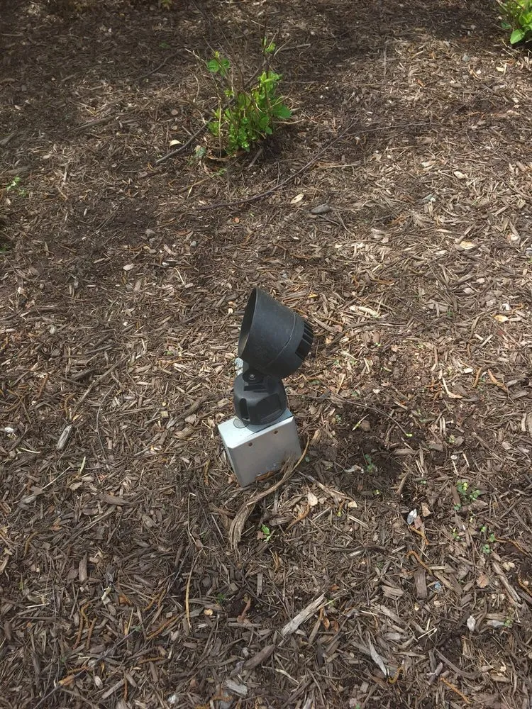 Slide of RNA Electric