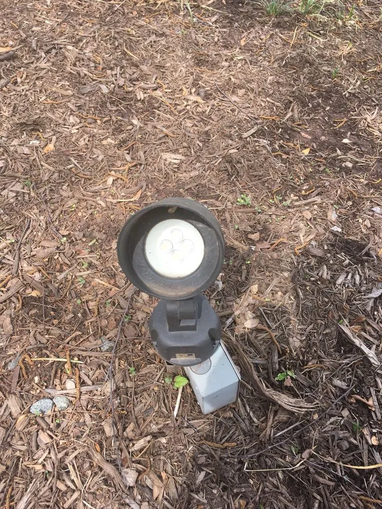 Slide of RNA Electric