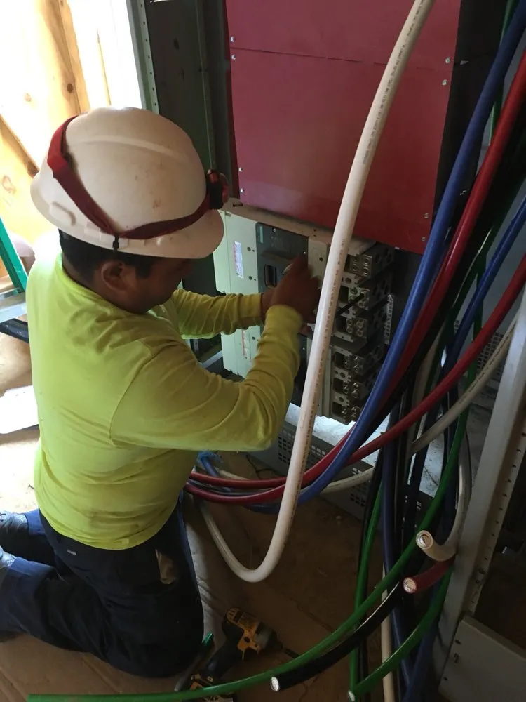 Slide of RNA Electric