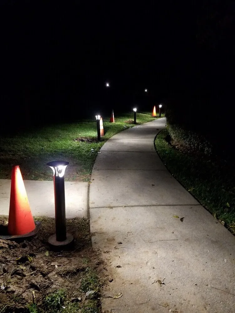 Slide of RNA Electric