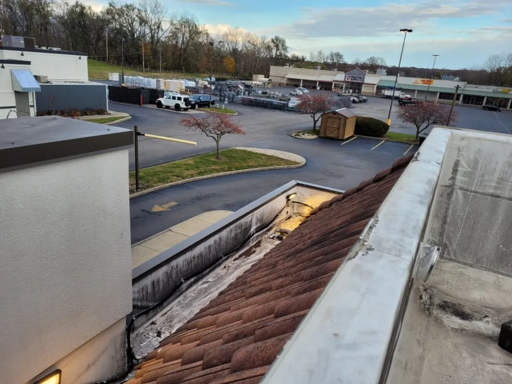 Slide of Rob 'N' Son's