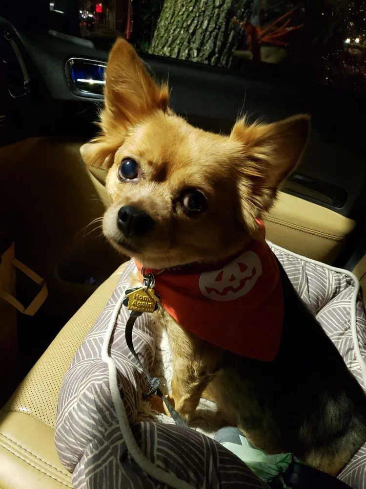 Slide of Robert D Benoit Electrical Service