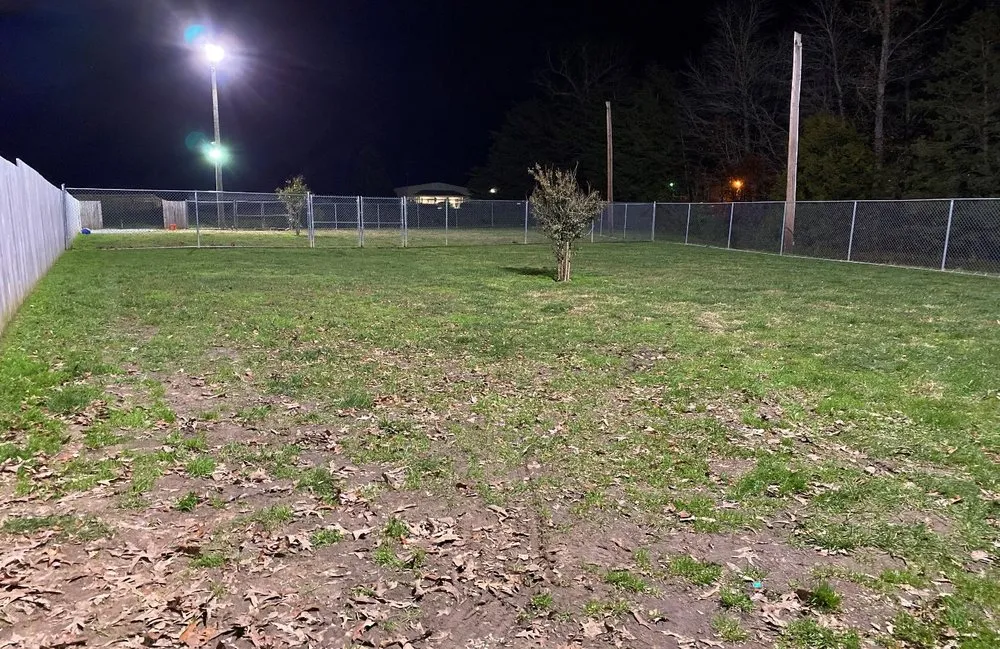 Slide of Robert D Samuels