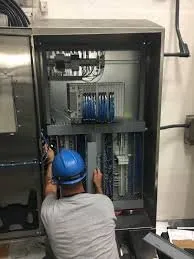 Slide of Robert Donald