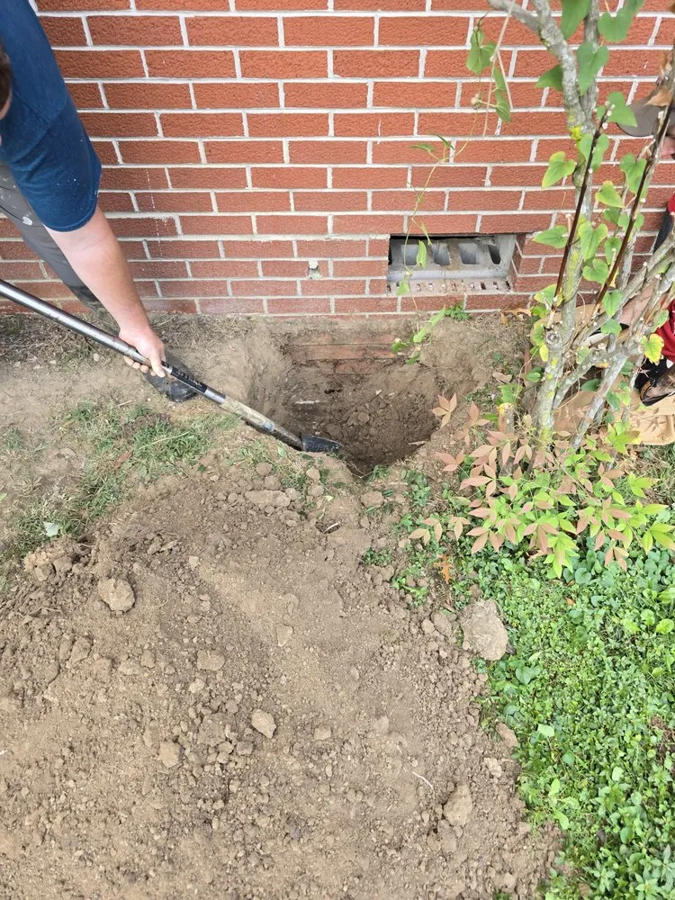 Trusted electrical service for homes in outlet and switch repair,  by 