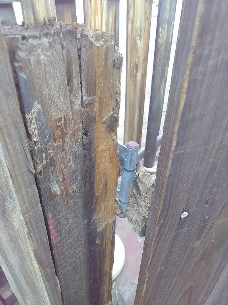 Expert circuit breaker repair service in Glendale, AZ - Rob's Electric & Handyman Services