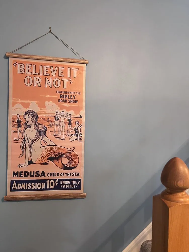 Slide of Rob's Renovators