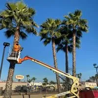 Slide of ROC Electrical