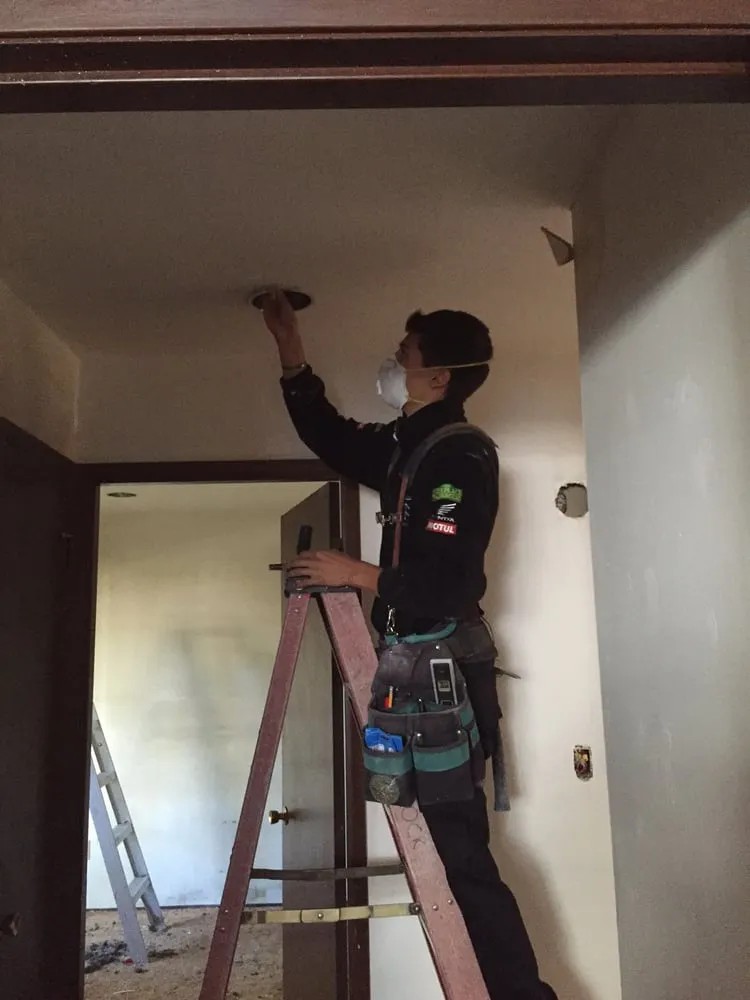 Slide of Rock and Sons