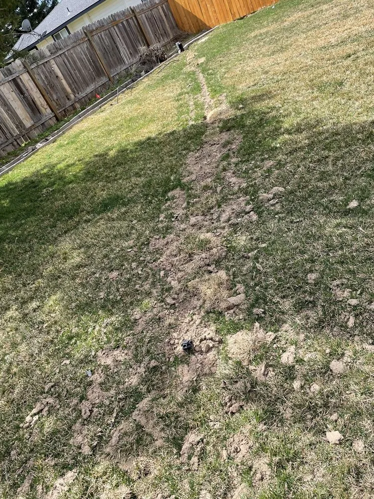 Slide of Rocky Mountain Electric