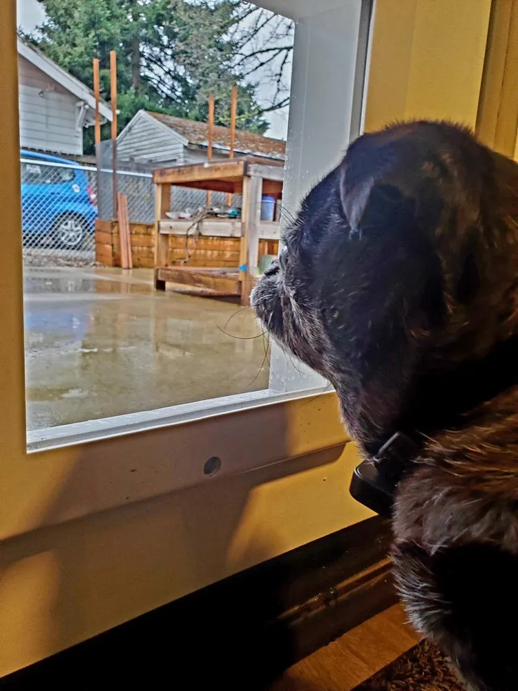 Slide of Roddy Construction