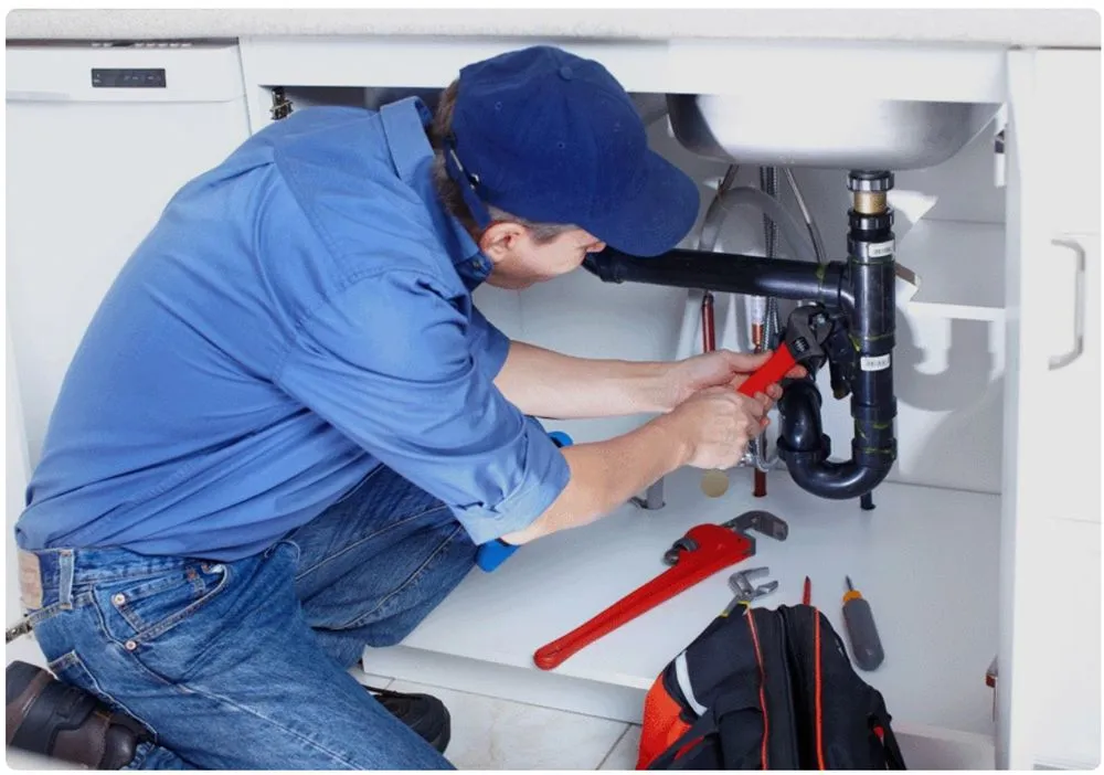 Slide of Rodrigo Handyman