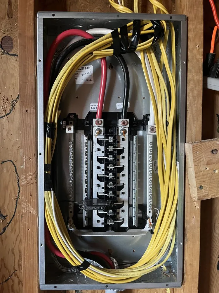 Slide of Rodrigo Vidal