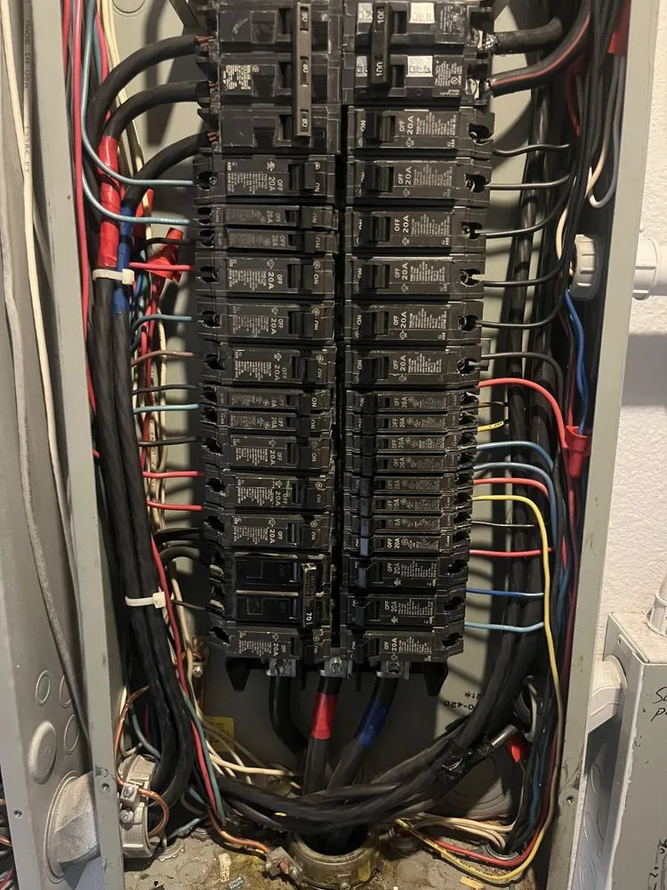 Slide of Rodrigo Vidal