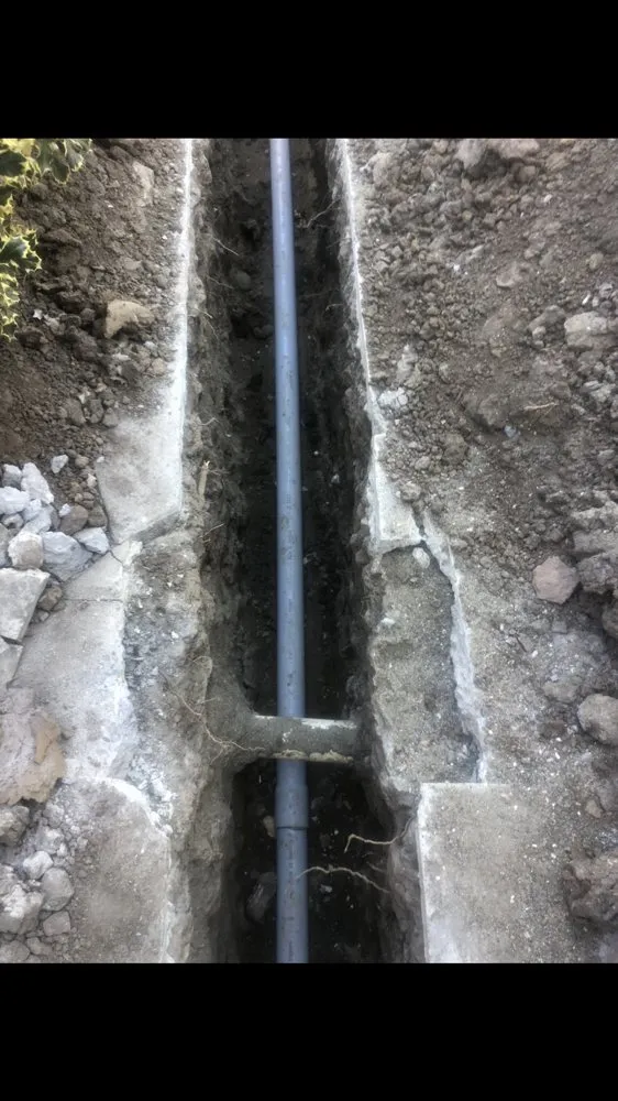 Slide of Rodriguez A Electric