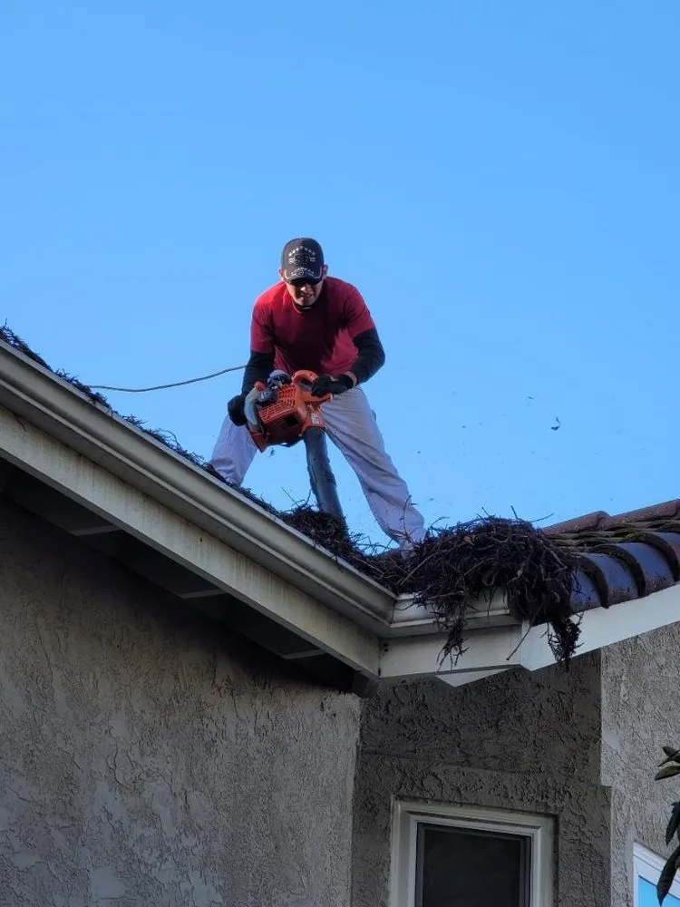 Slide of Rodriguez Cleaning Services