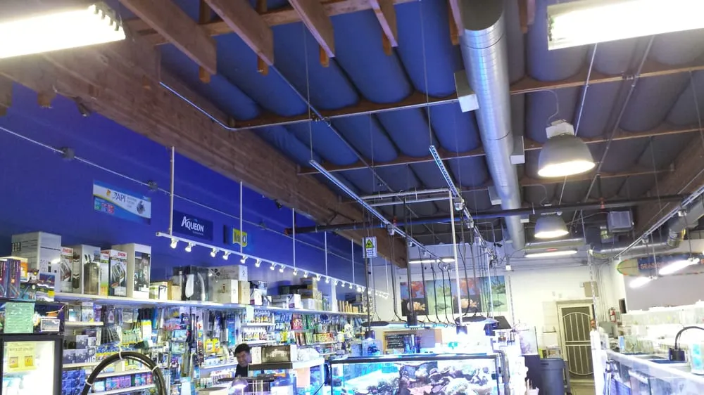 Reliable circuit breaker repair service in Huntington Beach, CA - Rod's Electric