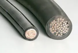 Slide of Roger Electric