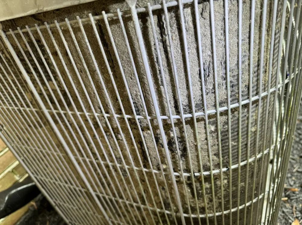 Slide of Roger The Handyman