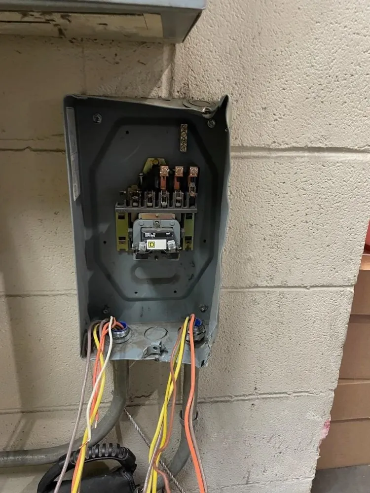 Slide of Roisin Electric