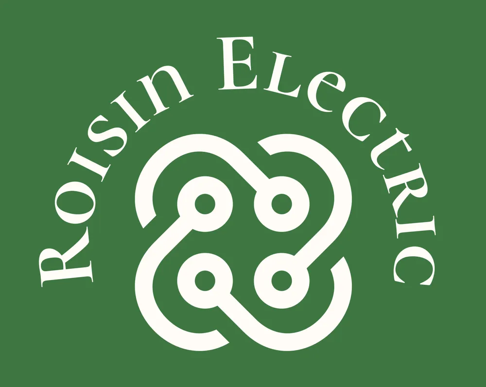 Slide of Roisin Electric