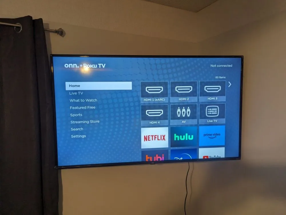 Slide of Roisin Electric