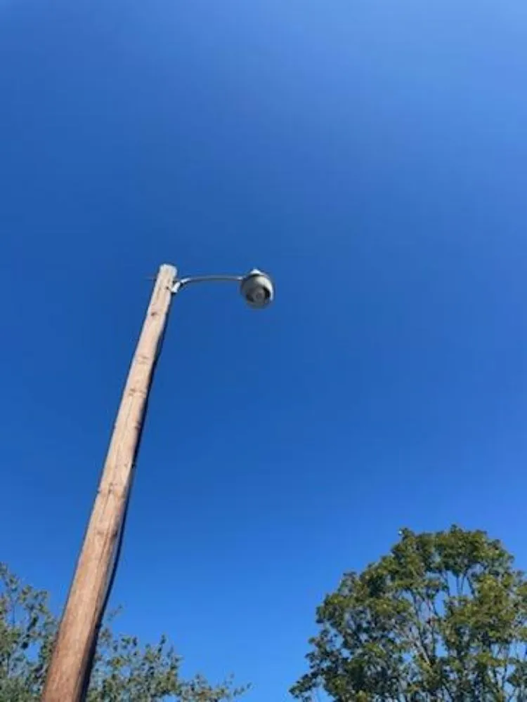 Slide of Roisin Electric