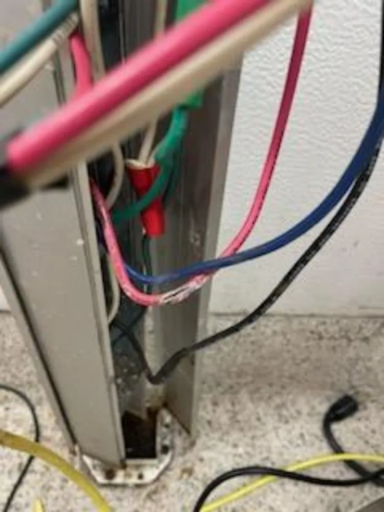 Slide of Roisin Electric